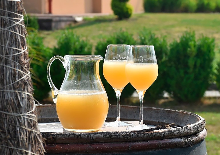 Чешские виноделы сообщили, когда начнется сезон бурчака