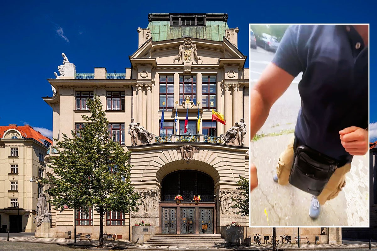 Заместитель мэра Праги прокомментировал инцидент с контролером, ударившим украинку