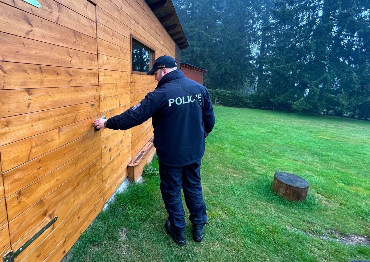 В Чехии иностранец напал на двух полицейских