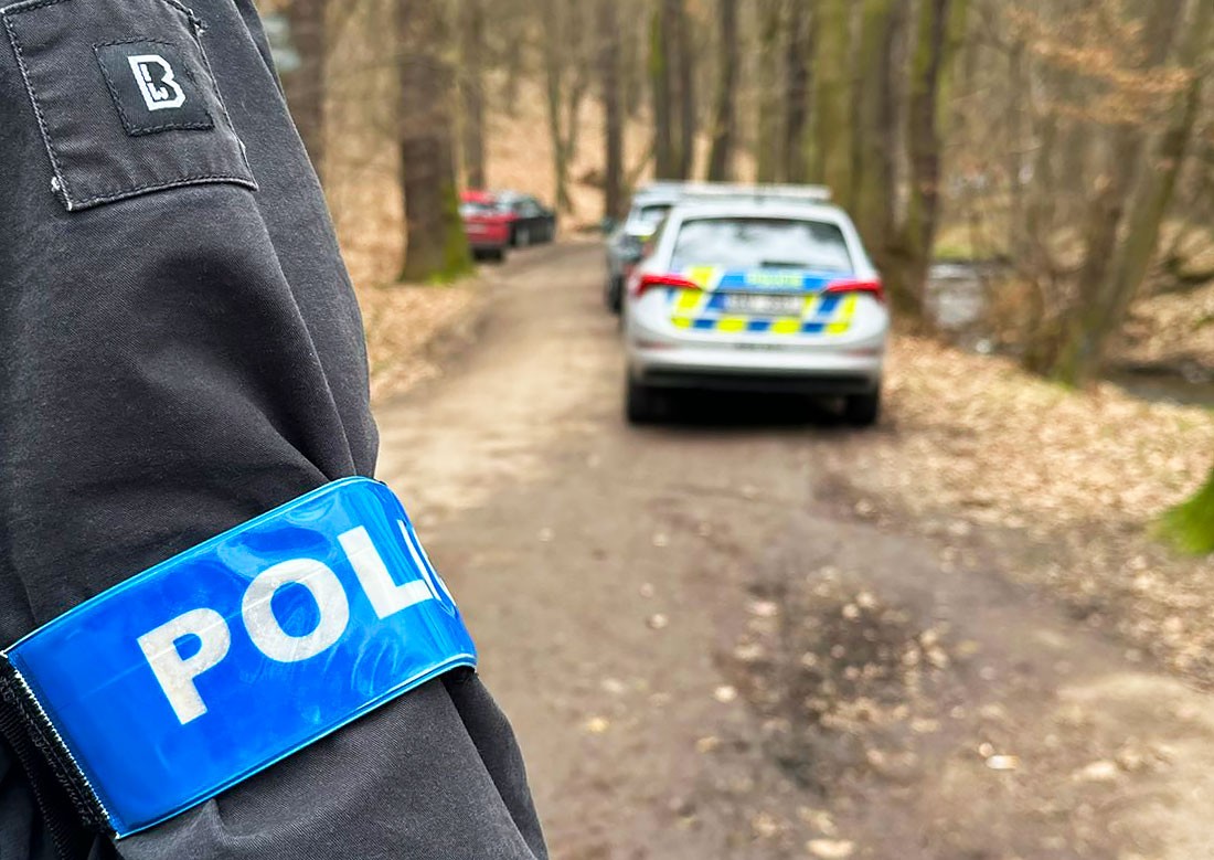 В Чехии прохожий пытался изнасиловать женщину на глазах ее 5-летнего сына