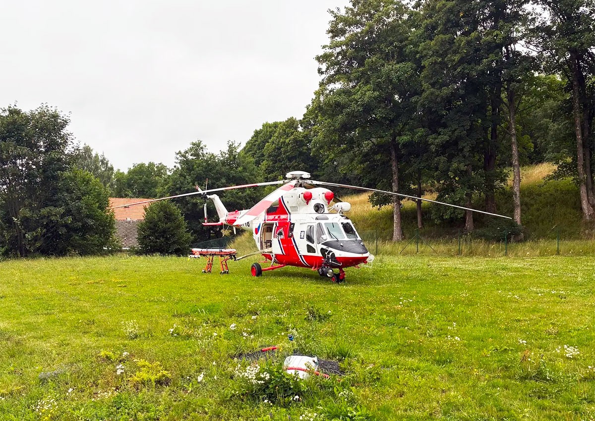 Школьник отравился грибом в летнем лагере в Чехии