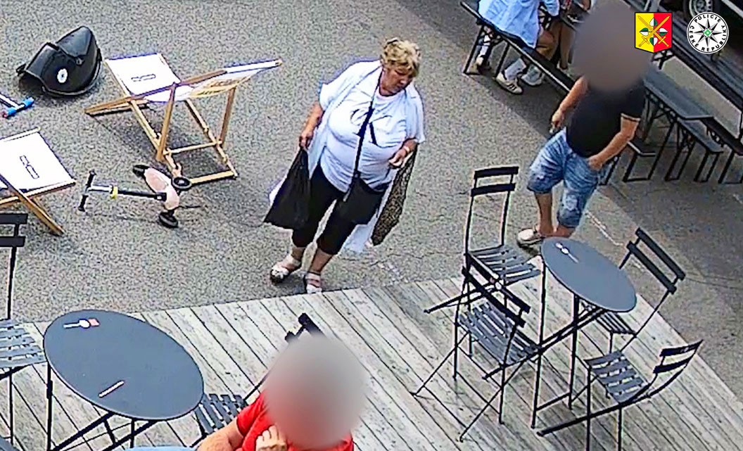 В Праге разыскивают воровку в белом