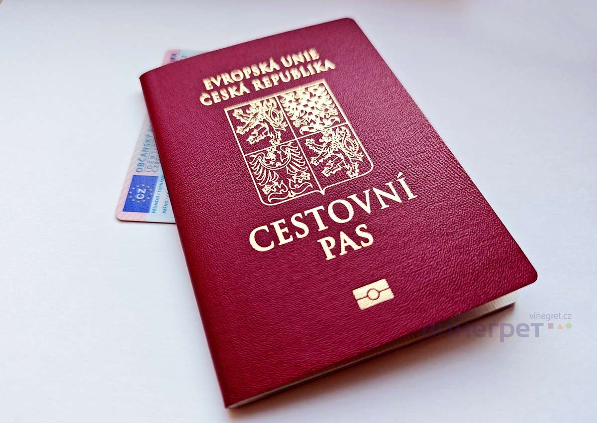 Статистика: сколько украинцев, россиян и других мигрантов получили гражданство Чехии в 2024 году