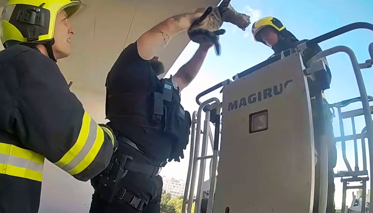 В Праге полицейские и пожарные спасли кошку, свисавшую с балкона пятого этажа