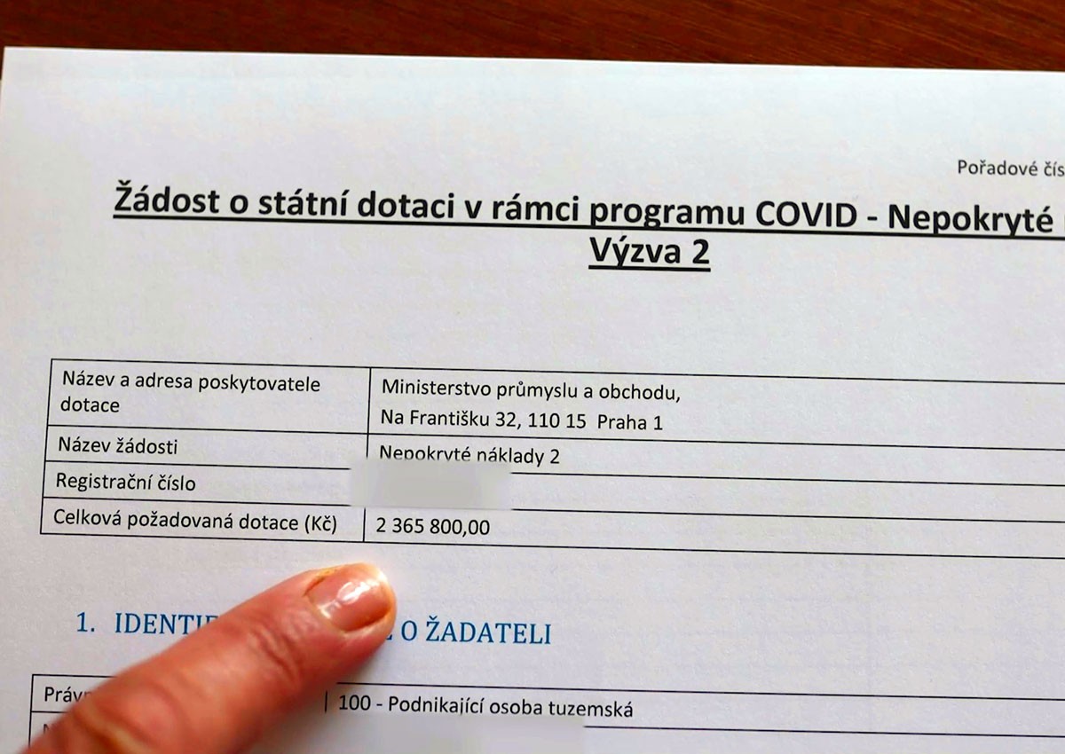 В Праге раскрыли крупное мошенничество с дотациями во время ковида