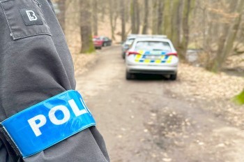 В Чехии прохожий пытался изнасиловать женщину на глазах ее 5-летнего сына