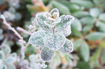 В горах Чехии ночью зарегистрировали мороз