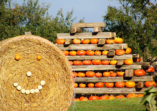 В Чехии открылся необычный парк развлечений «Тыквенный мир»