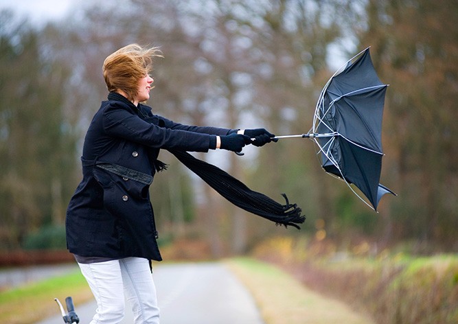 Жителей Чехии предупредили о сильном ветре