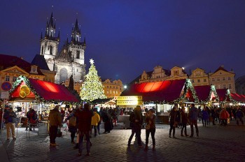 В Чехии выбрали главную рождественскую ёлку страны