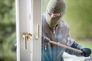 В Чехии невезучие воры забрались в дом полицейского