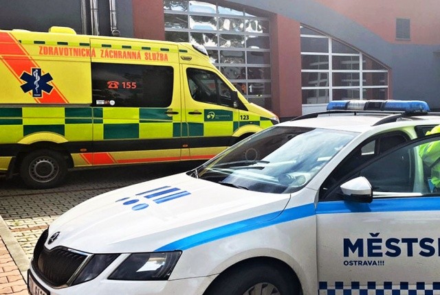 В Чехии пьяный водитель сбил пешехода, находившегося в розыске за пьяную езду