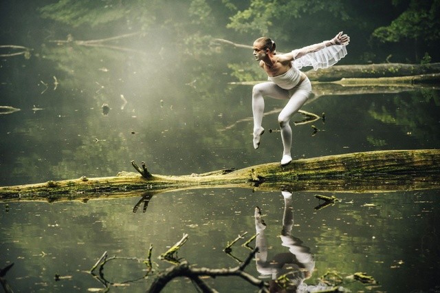 Прага запустила информационную кампанию о гибели птиц