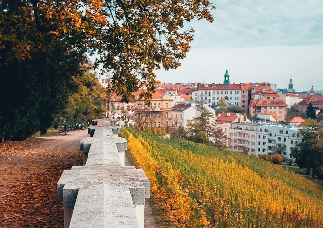 Синоптики рассказали, какой будет погода в Чехии в выходные