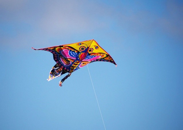 Двое жителей Чехии едва не погибли, запустив воздушного змея не в том месте