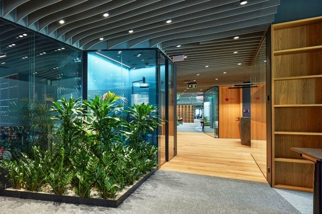 Названы лучшие офисы Чехии в 2024 году