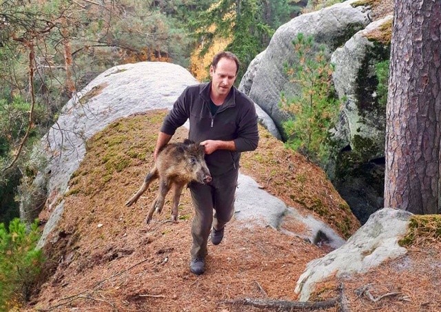 В Чехии пожарные спасли кабанов, застрявших между скалами
