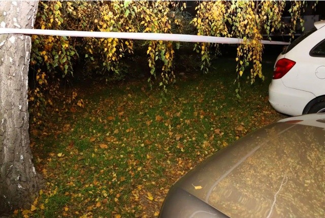 В Чехии прохожие нашли под деревом новорожденного младенца