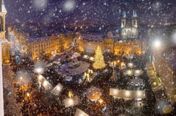 Выбрана главная рождественская ёлка Праги