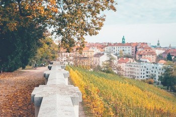 Синоптики рассказали, какой будет погода в Чехии в выходные