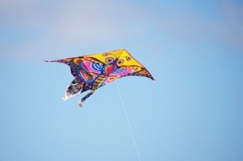 Двое жителей Чехии едва не погибли, запустив воздушного змея не в том месте