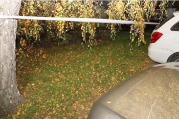 В Чехии прохожие нашли под деревом новорожденного младенца