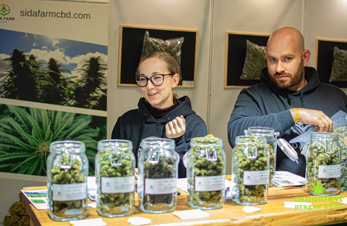 Появились подробности дела о матери, умышленно убившей дочь в ДТП