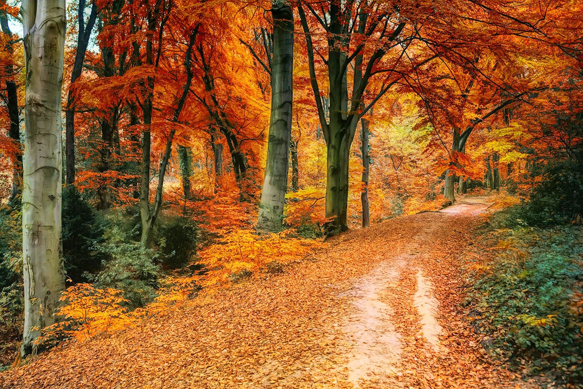 Чешские синоптики опубликовали прогноз погоды на выходные