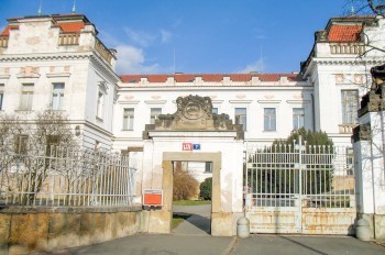 Пражская психбольница прокомментировала побег убийцы-шизофреника