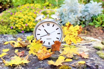 В Праге столкнулись трамвай и автобус