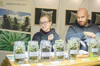 Появились подробности дела о матери, умышленно убившей дочь в ДТП