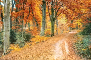 Чешские синоптики опубликовали прогноз погоды на выходные