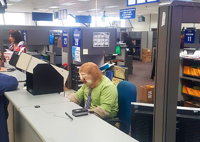 В США чиновник пришел на работу в костюме ленивца