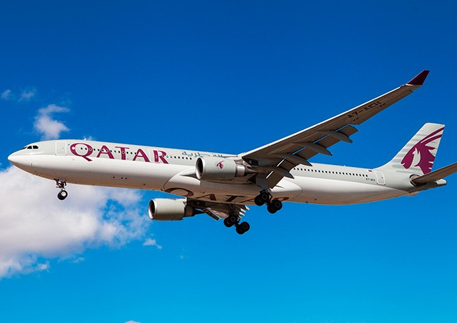 Самолет вынужденно сел в Индии из-за пассажирки, узнавшей об измене мужа