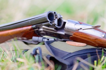 В Чехии охотник случайно подстрелил двух женщин