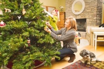 В Праге придумали, как «спасти жизнь» рождественским ёлкам 