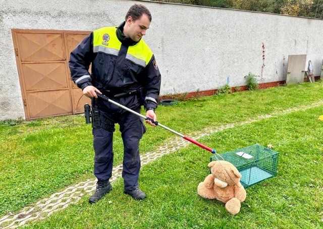 Чешские полицейские отрабатывали навыки на плюшевом медведе