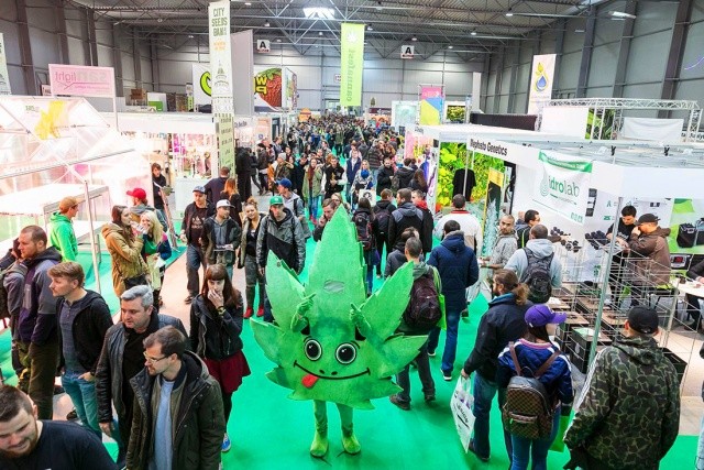 В Праге стартовал фестиваль конопли Cannafest 2024