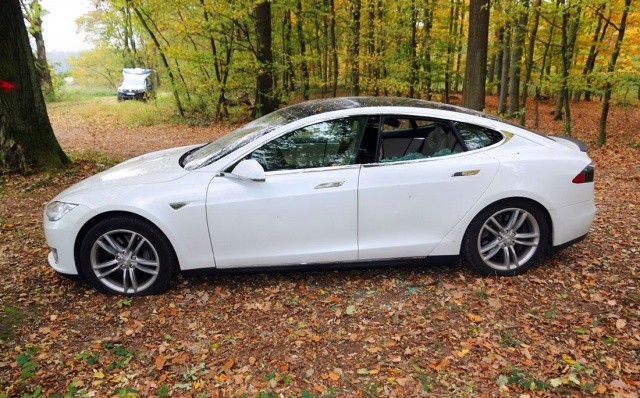 Житель Чехии оставил свою Tesla в лесу и поплатился