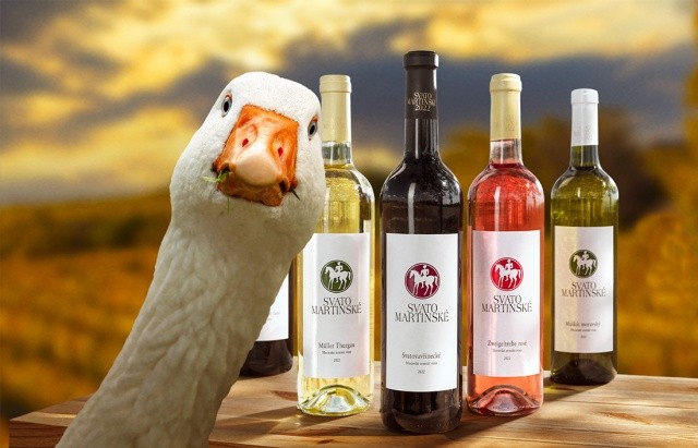 В Чехии выбрали святомартинские вина 2024 года