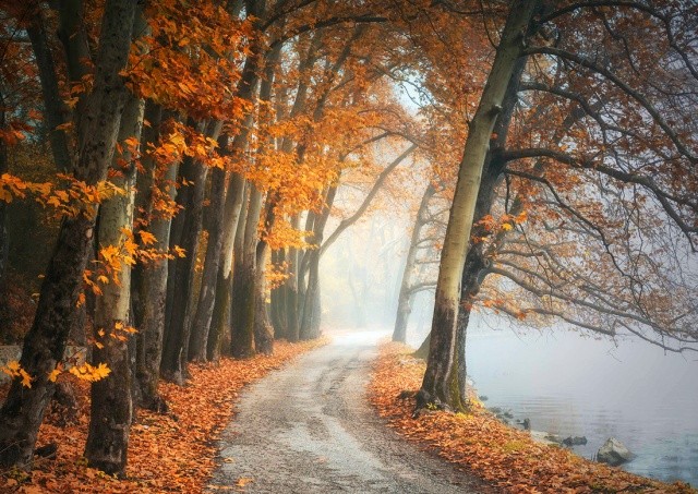 Чешские синоптики опубликовали прогноз погоды на неделю 