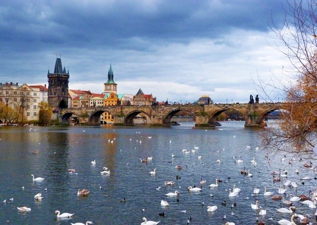 Какая погода будет в Чехии в выходные: прогноз синоптиков