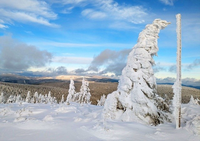 Чешские горы засыпало снегом. Суббота будет идеальным днем для лыж и прогулок
