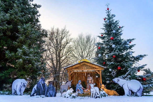 Вход за 50 крон: зоопарк Праги торжественно отметит начало Адвента