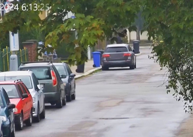 В Чехии неизвестный поджег чужой «Мерседес» на улице: видео