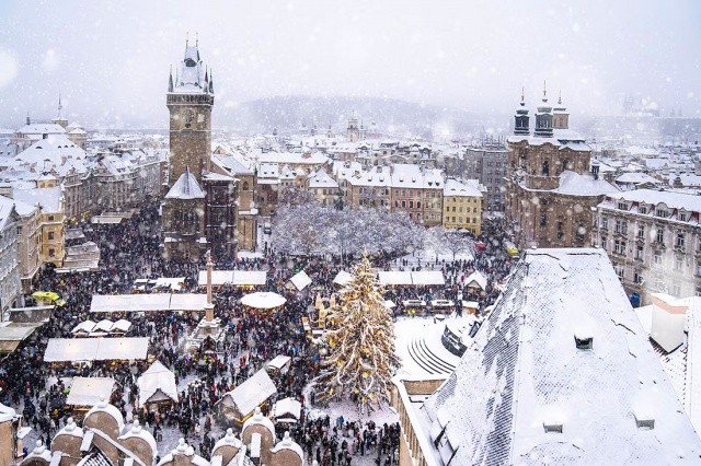 Появились подробности зажжения главной рождественской ёлки Праги