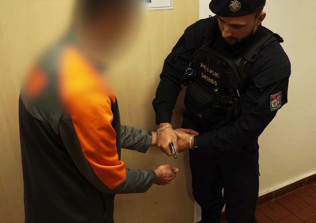 В Праге соседи спасли от изнасилования 10-летнюю девочку