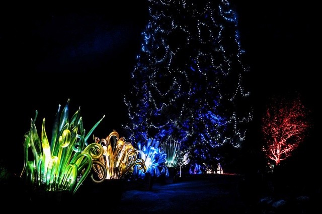 Магия стекла, света и музыки: в Праге впервые открылась выставка «Хрустальный сад»