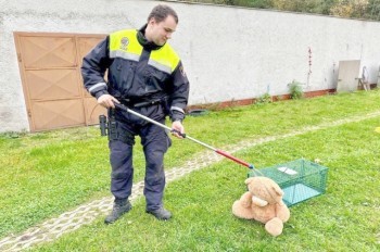 Чешские полицейские отрабатывали навыки на плюшевом медведе