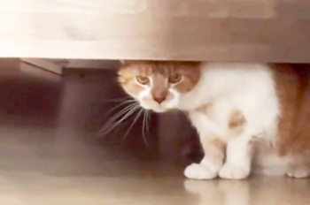 В Праге состоится рождественский квартирник Сергея Бабкина